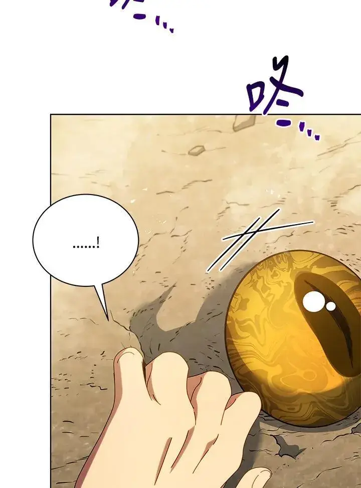漫画《死灵术师学院的召唤天才》第67话第28张图
