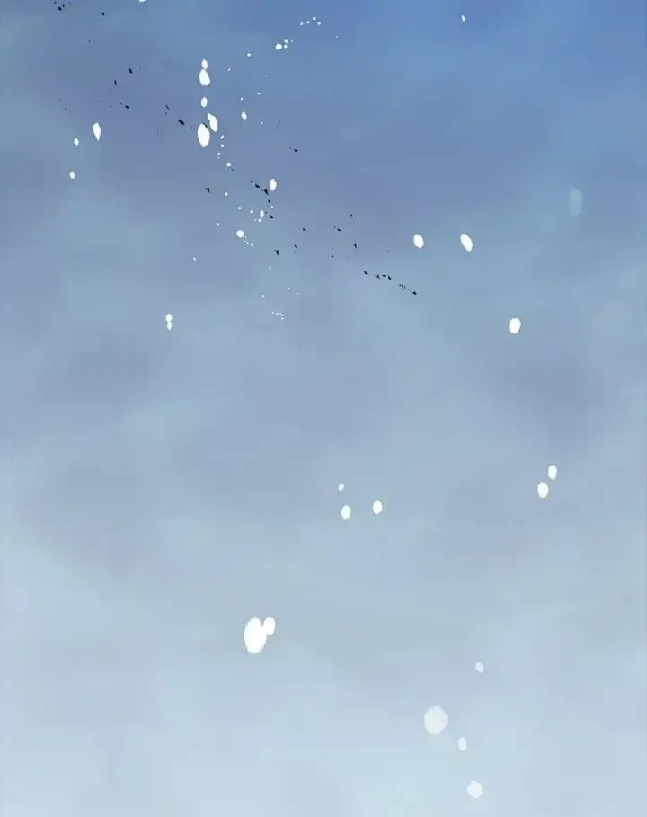 漫画《死灵术师学院的召唤天才》98.额外报酬第55张图