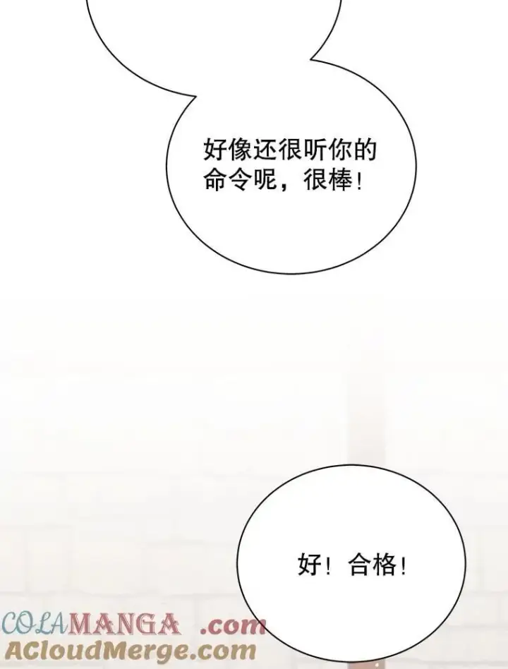 漫画《死灵术师学院的召唤天才》102.合格第105张图