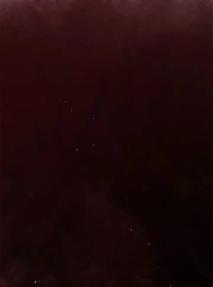 漫画《死灵术师学院的召唤天才》112.死亡岛第2张图