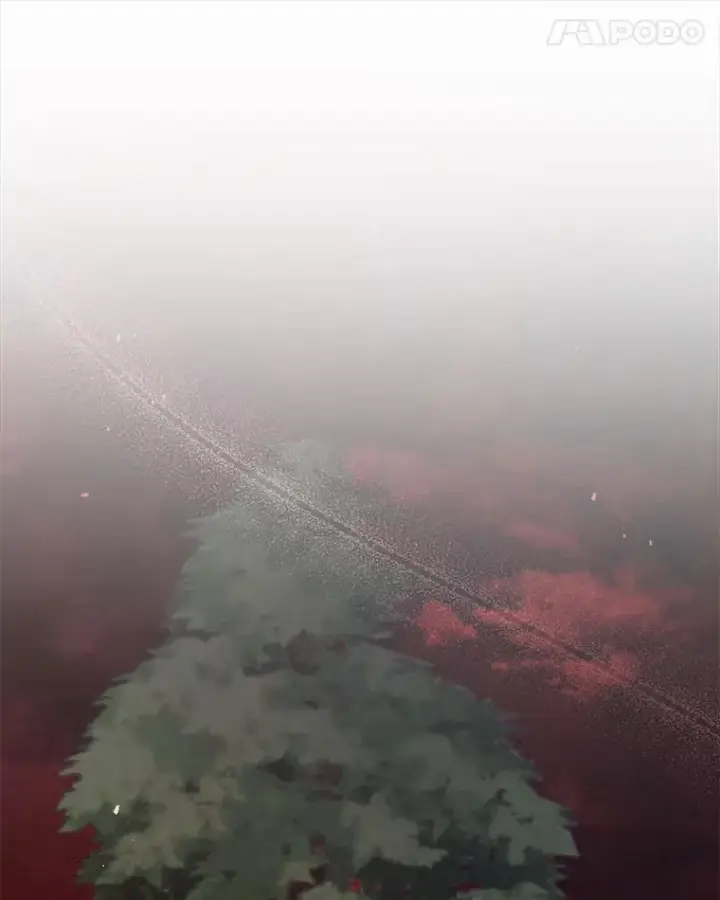 漫画《死灵术师学院的召唤天才》115.逃离丧尸群第25张图
