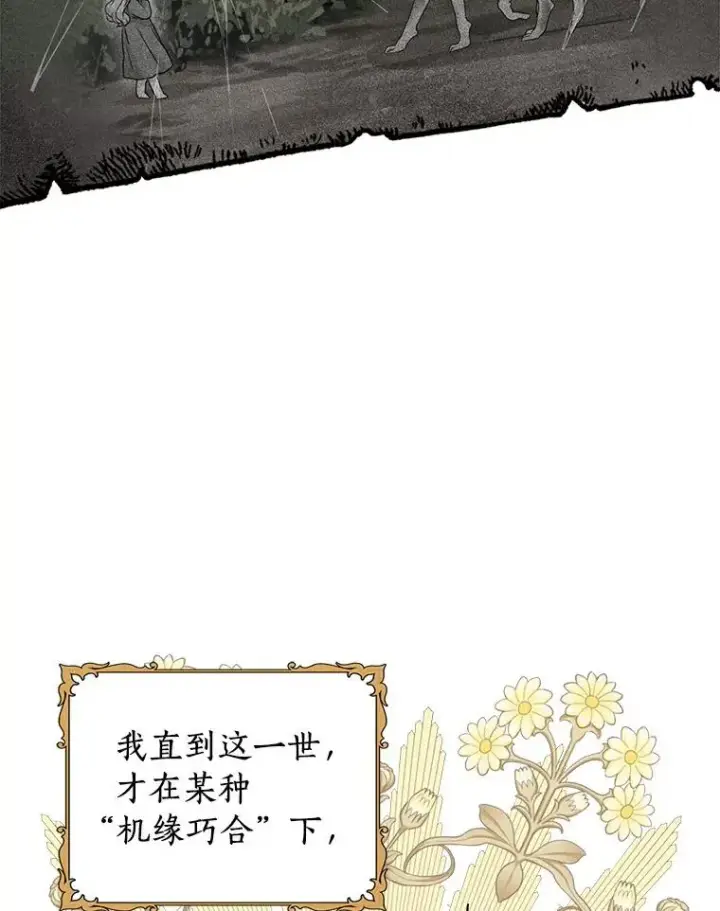 漫画《私生公主的第十次人生》0.私生女安娜塔莎第18张图