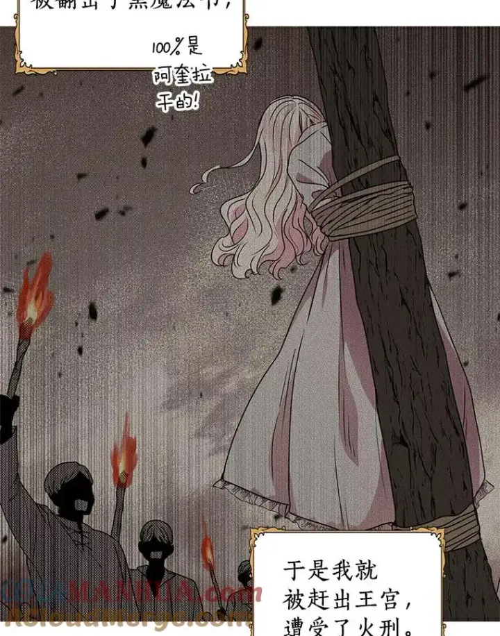 《私生公主的第十次人生》8.苦肉计图61