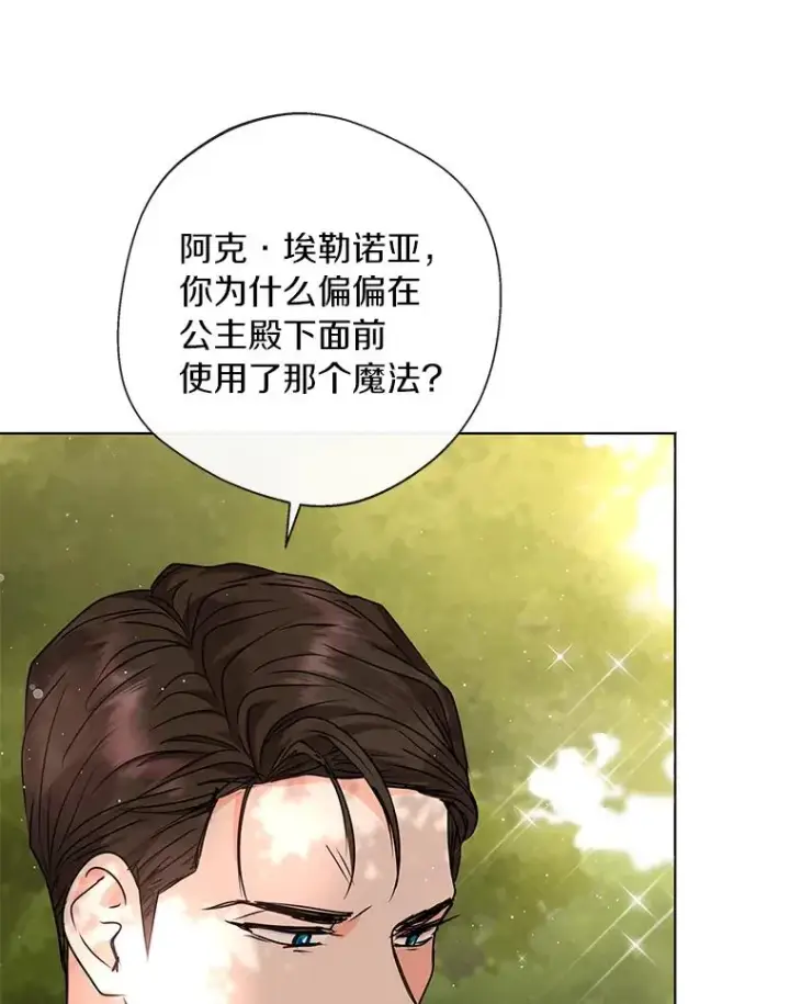 漫画《私生公主的第十次人生》15.忠诚宣誓第43张图