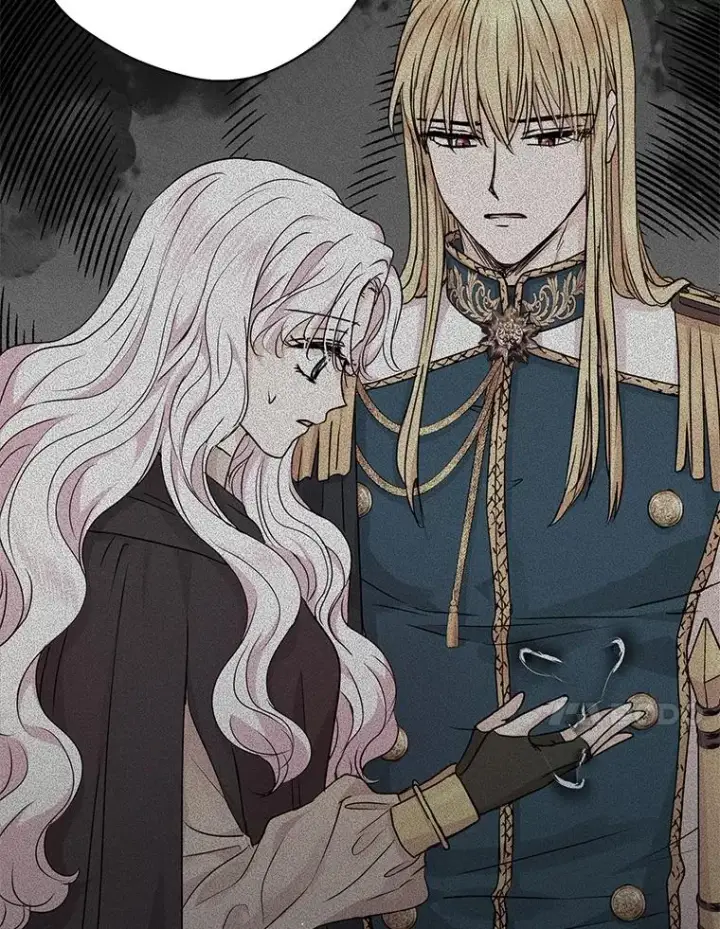 漫画《私生公主的第十次人生》17.成为最强魔法师第35张图