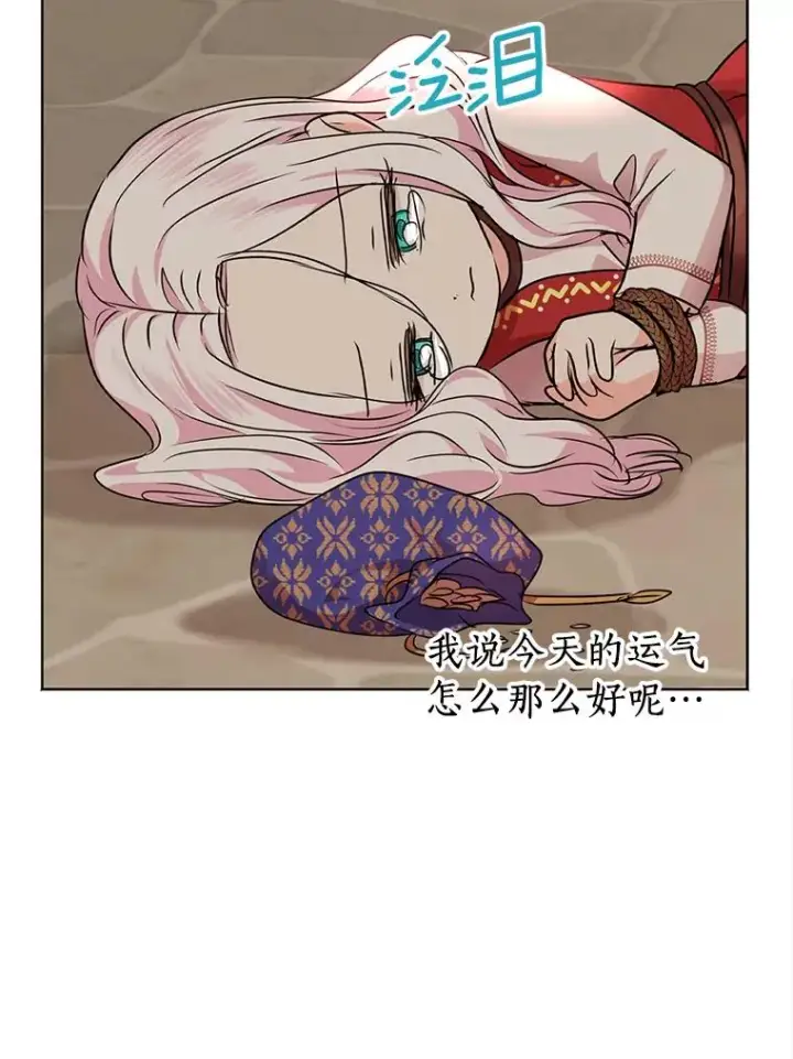 漫画《私生公主的第十次人生》19.遭遇绑架第100张图