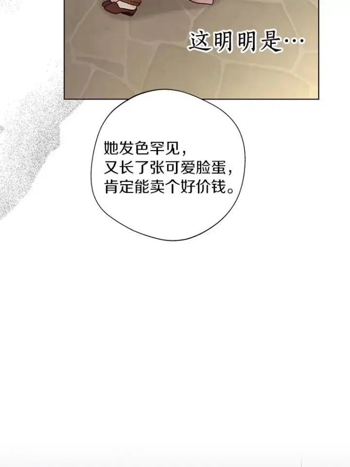 漫画《私生公主的第十次人生》19.遭遇绑架第94张图