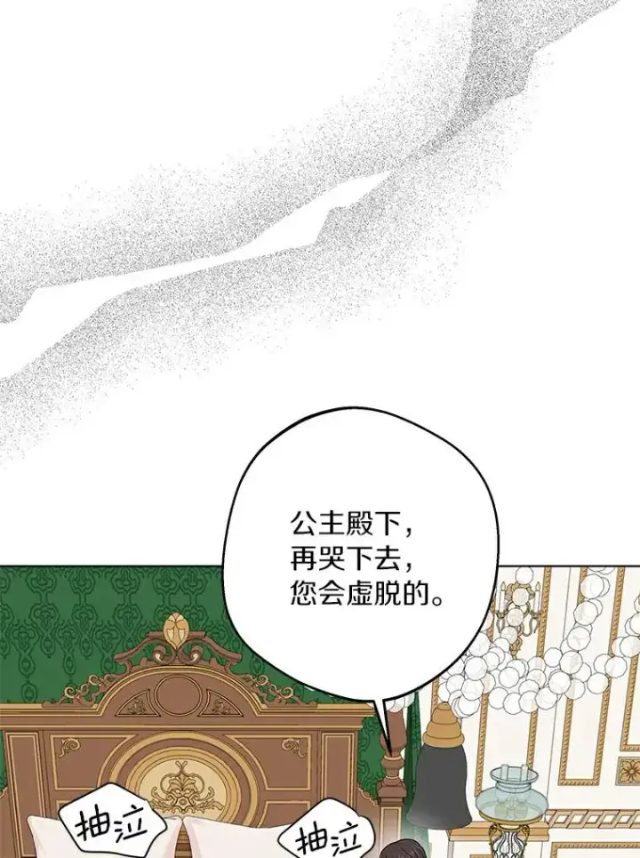 漫画《私生公主的第十次人生》30.国务会议第8张图