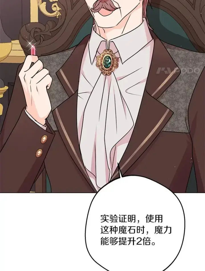 漫画《私生公主的第十次人生》30.国务会议第96张图