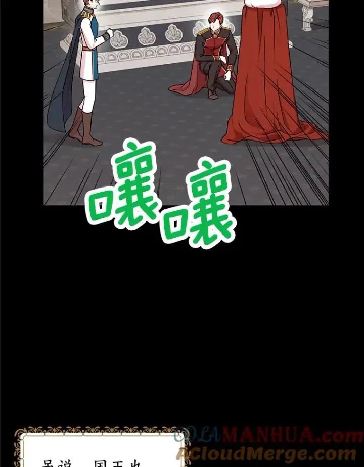 漫画《私生公主的第十次人生》34.8岁的安莎第49张图