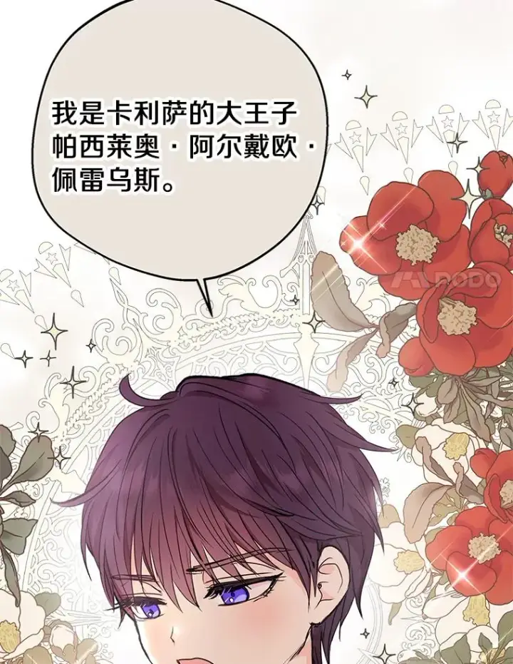 漫画《私生公主的第十次人生》35.塔里的王子第27张图
