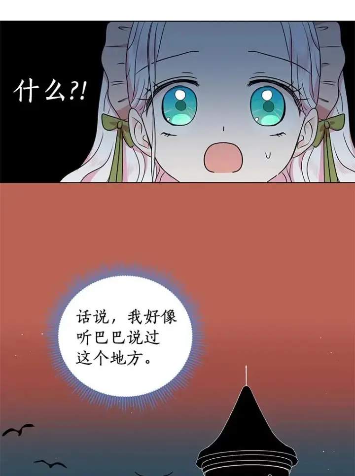 漫画《私生公主的第十次人生》35.塔里的王子第32张图