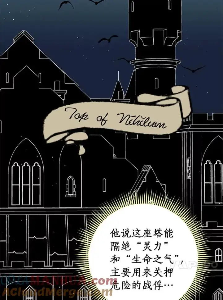 漫画《私生公主的第十次人生》35.塔里的王子第33张图