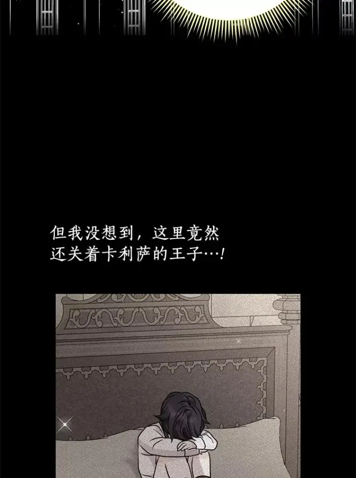 漫画《私生公主的第十次人生》35.塔里的王子第34张图