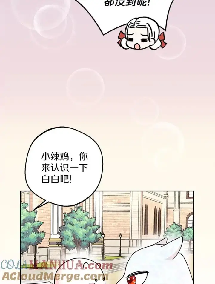 漫画《私生公主的第十次人生》41.神兽九尾狐第29张图