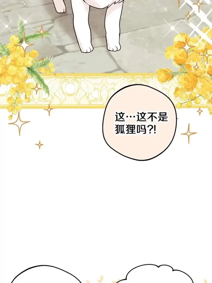 漫画《私生公主的第十次人生》41.神兽九尾狐第48张图