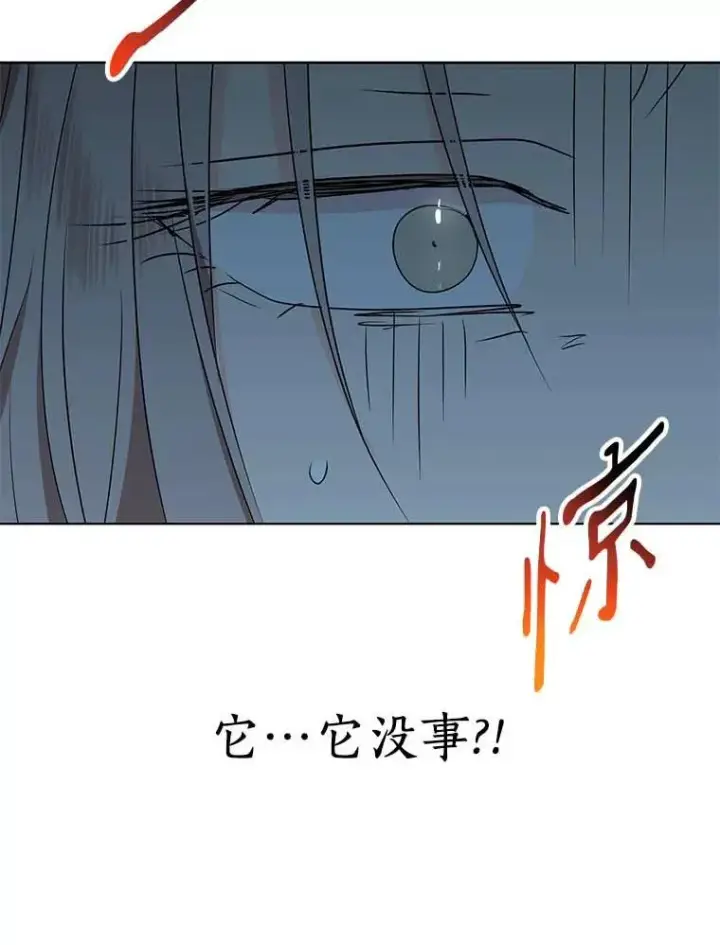 漫画《私生公主的第十次人生》44.解救第27张图