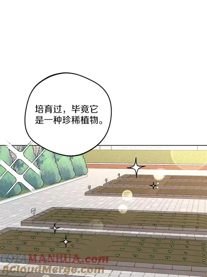 漫画《私生公主的第十次人生》48.新的人生第77张图