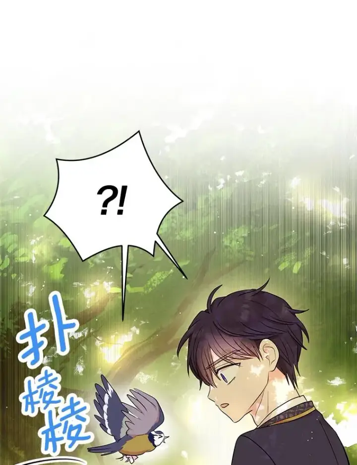 漫画《私生公主的第十次人生》77.不可以在一起第35张图