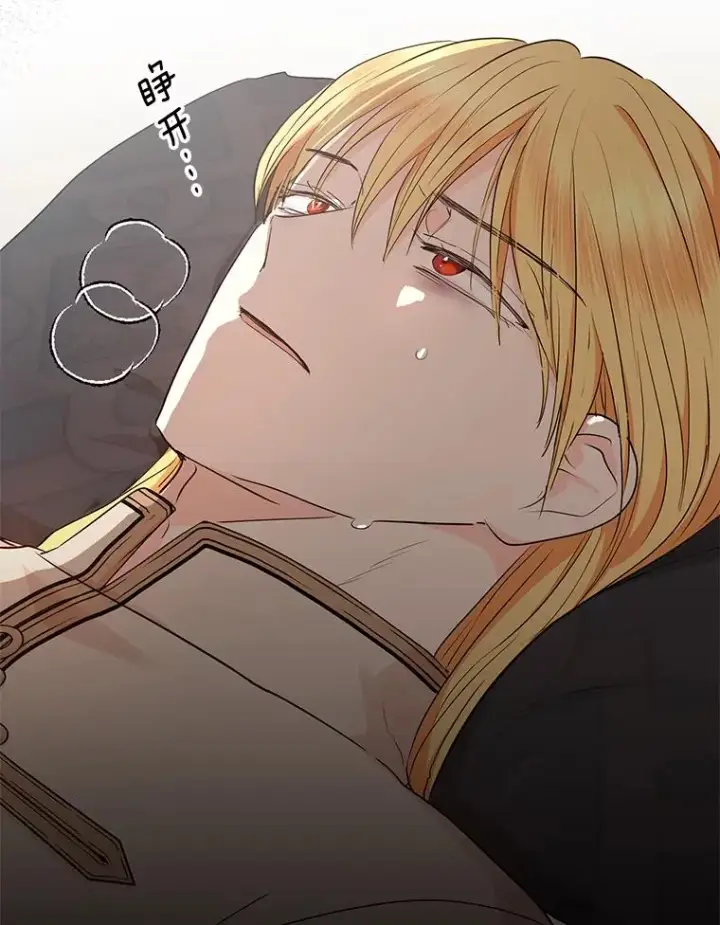 漫画《私生公主的第十次人生》81.滋生复仇之心第104张图