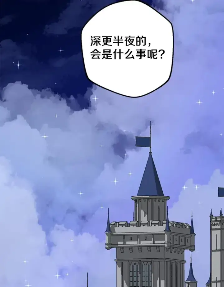漫画《私生公主的第十次人生》83.陛下召见第63张图