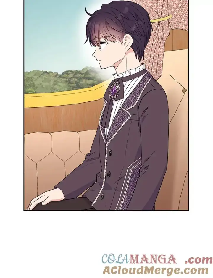 漫画《私生公主的第十次人生》88.一定要找到她第101张图