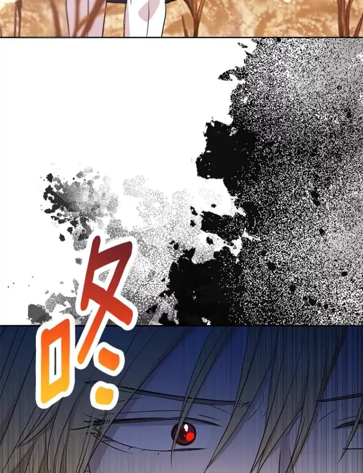 漫画《私生公主的第十次人生》88.一定要找到她第11张图