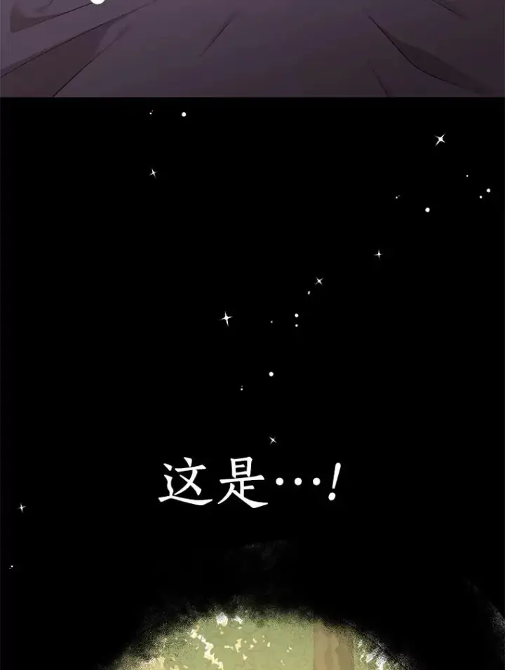 漫画《私生公主的第十次人生》88.一定要找到她第28张图