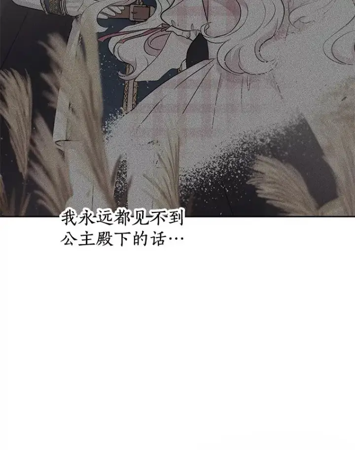 漫画《私生公主的第十次人生》88.一定要找到她第82张图