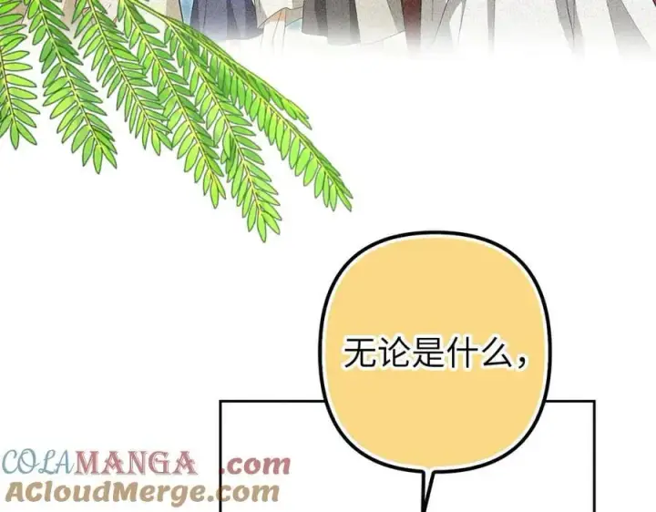 漫画《虽然是骗子，但没关系》第63话 我们的愿望第161张图