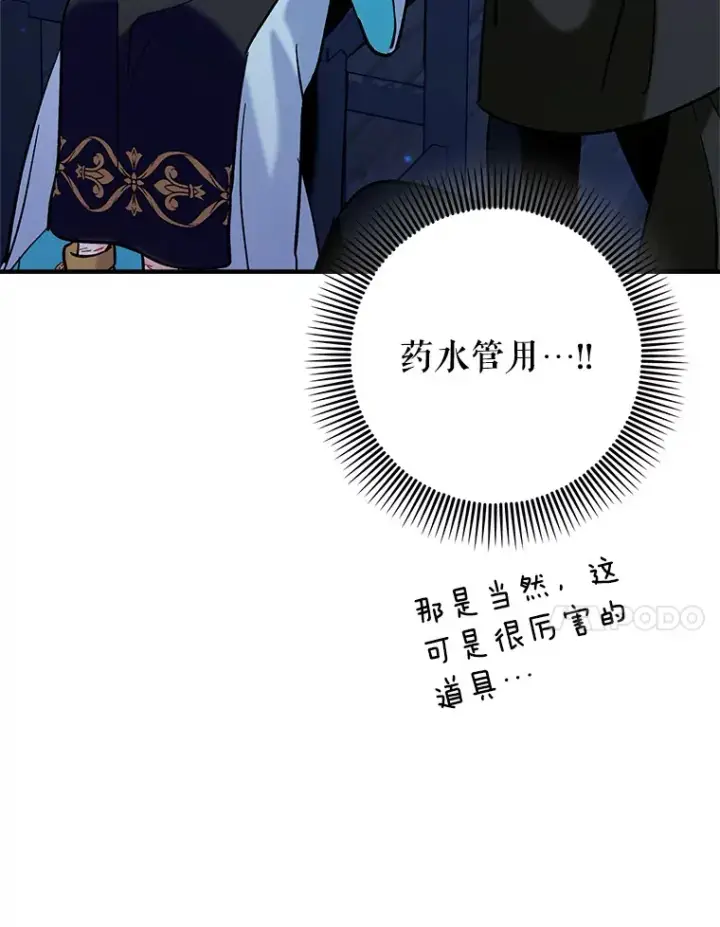 《虽是辅助，依旧带飞》21.拯救露易丝图41