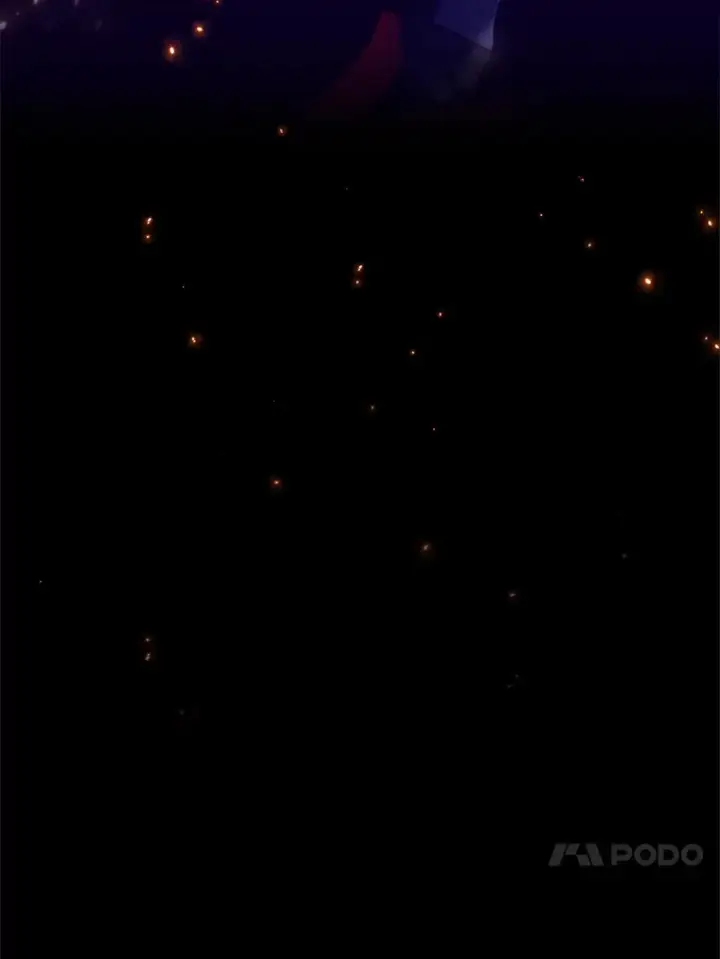 《虽是辅助，依旧带飞》25.死亡图13