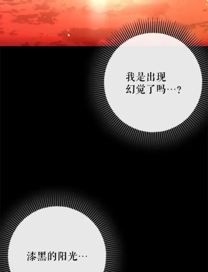 《虽是辅助，依旧带飞》25.死亡图73
