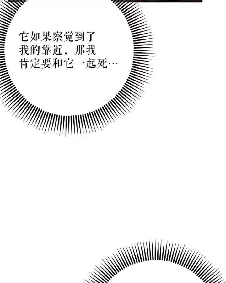 《虽是辅助，依旧带飞》36.天使露易丝？图49