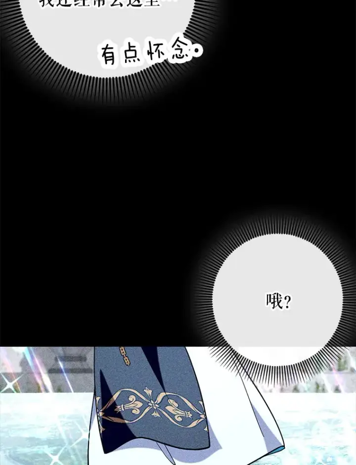 《虽是辅助，依旧带飞》36.天使露易丝？图89