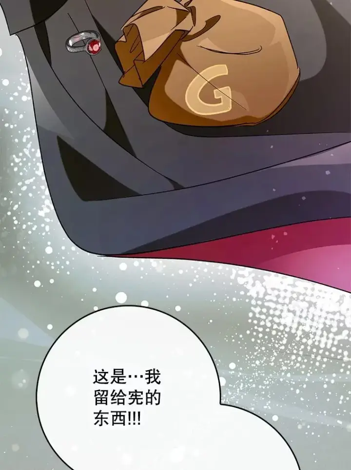 《虽是辅助，依旧带飞》53.失去记忆？图35