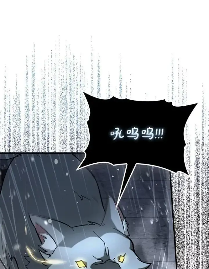 《虽是辅助，依旧带飞》61.败局已定图79