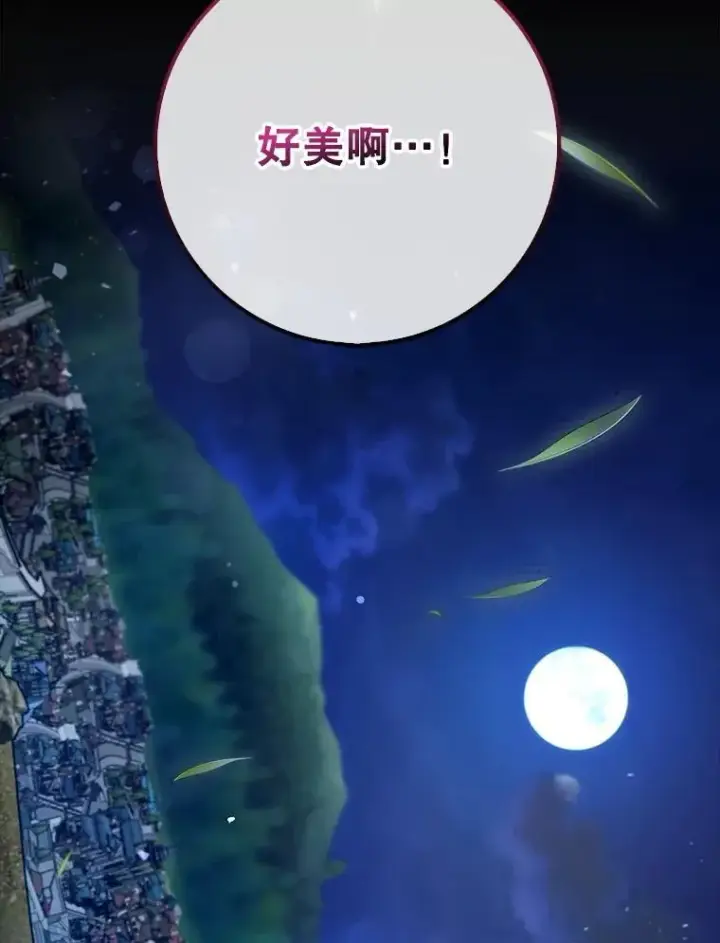 《虽是辅助，依旧带飞》65.创建公会图44