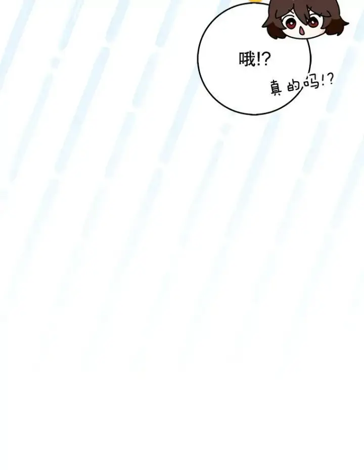 《虽是辅助，依旧带飞》66.庆典来袭图15