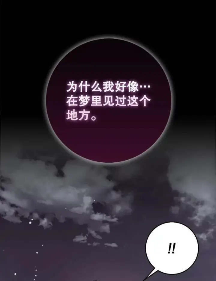 《虽是辅助，依旧带飞》85.抵达“心脏”图74