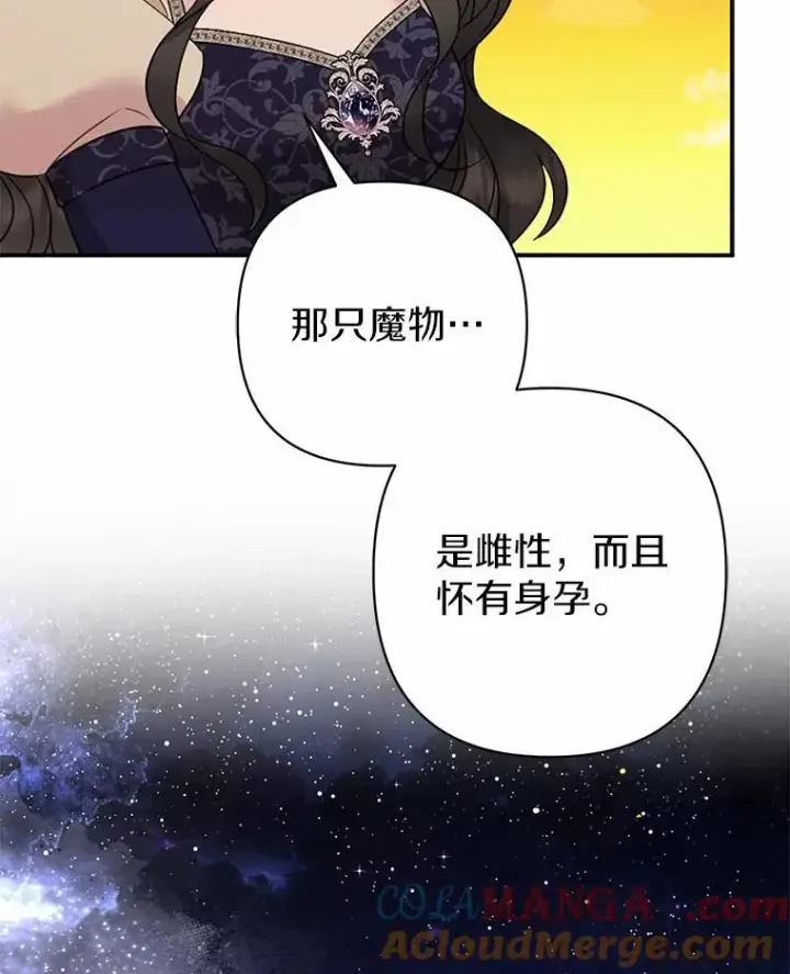 《所以我和废皇太子结婚了》9.灰色平原图105
