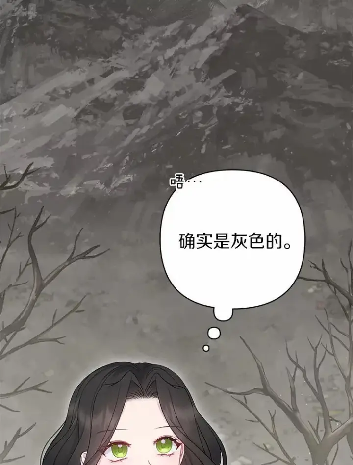 《所以我和废皇太子结婚了》9.灰色平原图2