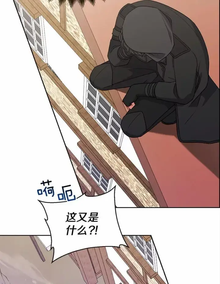 《所以我和废皇太子结婚了》21.追随者图88