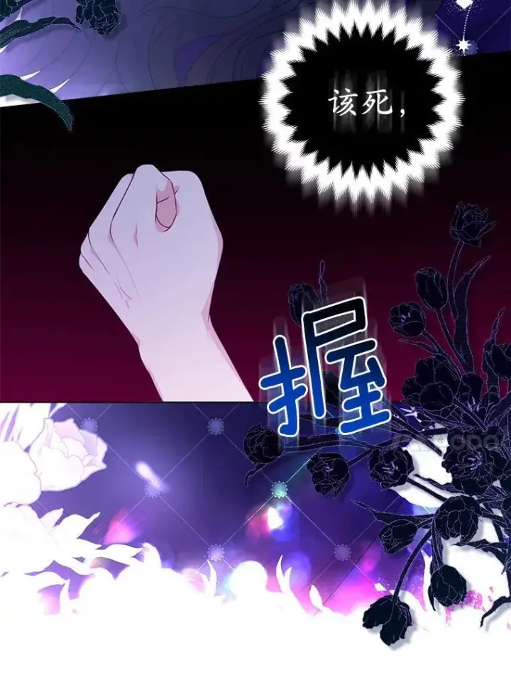 《所以我和废皇太子结婚了》27.午夜幽会图106