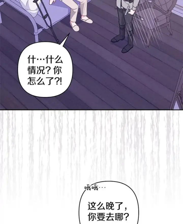 《所以我和废皇太子结婚了》27.午夜幽会图108