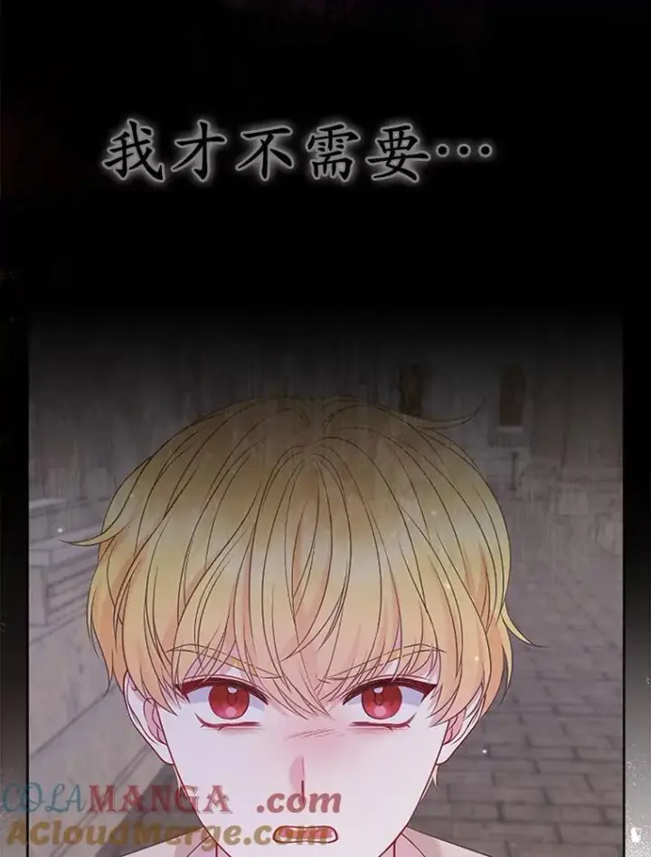 《所以我和废皇太子结婚了》27.午夜幽会图5