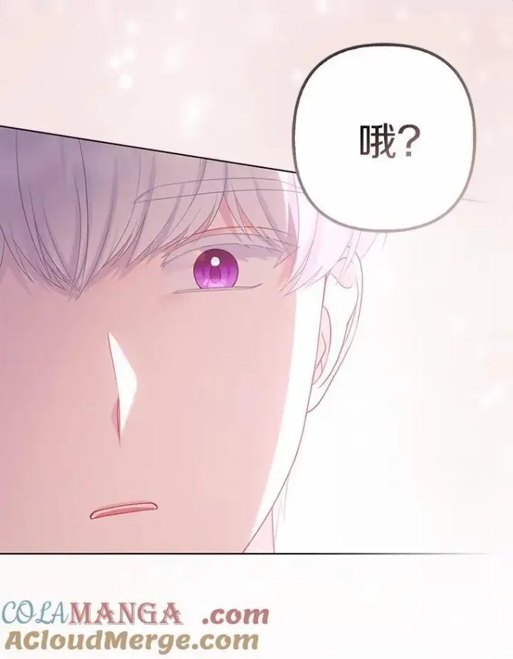 《所以我和废皇太子结婚了》31.未能送出的礼物图65