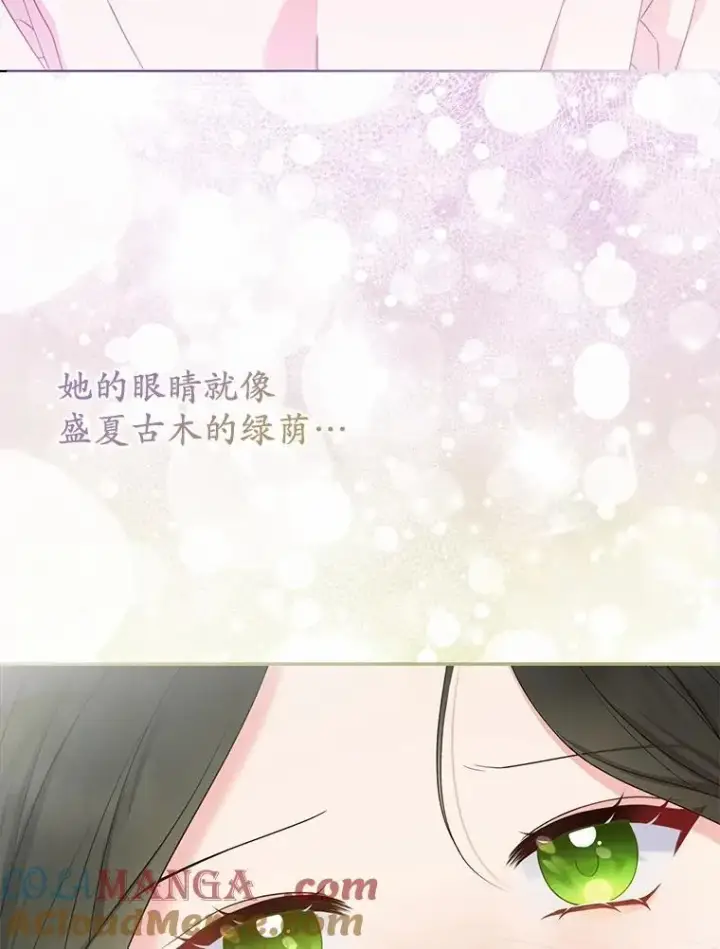 《所以我和废皇太子结婚了》31.未能送出的礼物图85
