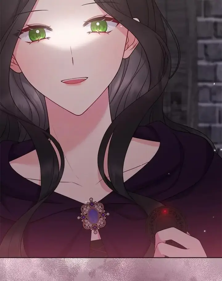 《所以我和废皇太子结婚了》35.“魔女”的手段图32