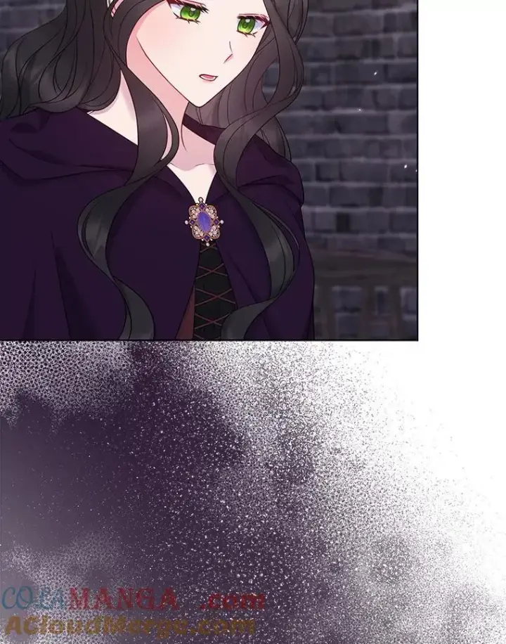 《所以我和废皇太子结婚了》35.“魔女”的手段图5